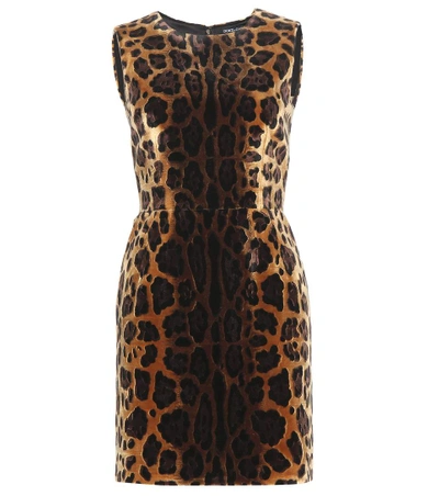 Dolce & Gabbana Leopard-print Velvet Dress In Brown