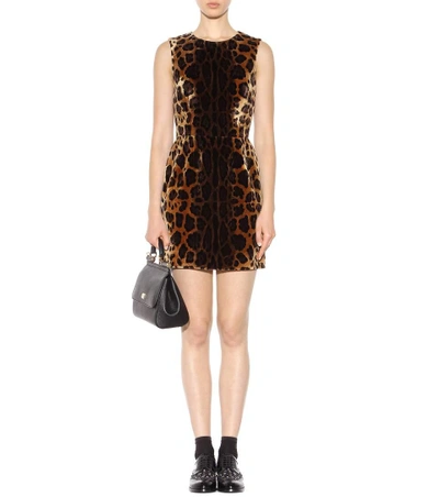 Shop Dolce & Gabbana Leopard-print Velvet Dress In Brown