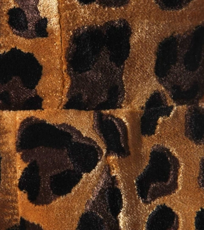 Shop Dolce & Gabbana Leopard-print Velvet Dress In Brown