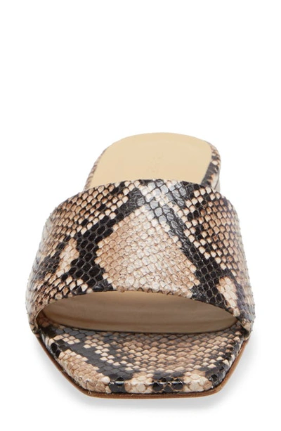 Shop Aeyde Anna Slide Sandal In Hazelnut Snake Print