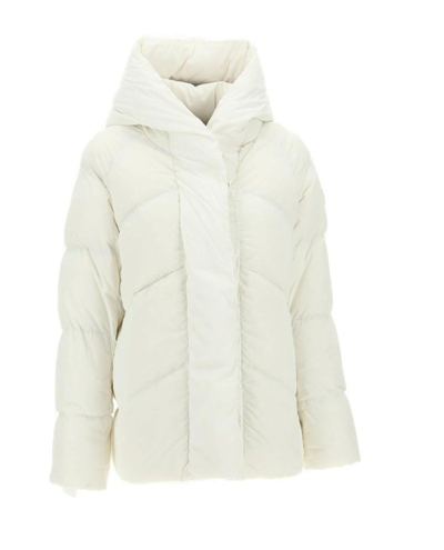 Shop Canada Goose Marlow Padded Puffer Jacket In White