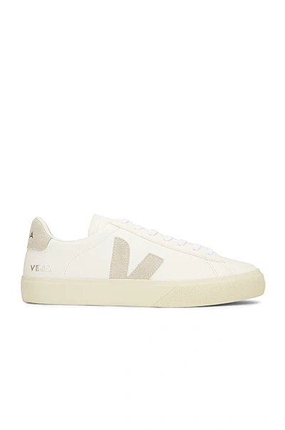 Shop Veja Campo Sneaker In Extra White & Natural Suede