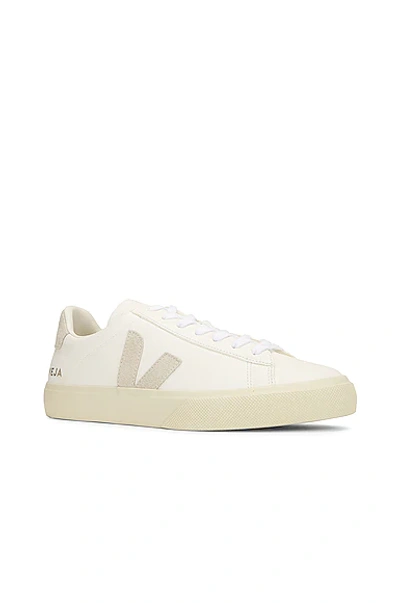 Veja Low Top Leather Sneakers In White