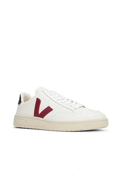 Veja Extra White Marsala And Navy Leather V - 12 Sneakers In Extra White & Marsala Nautico
