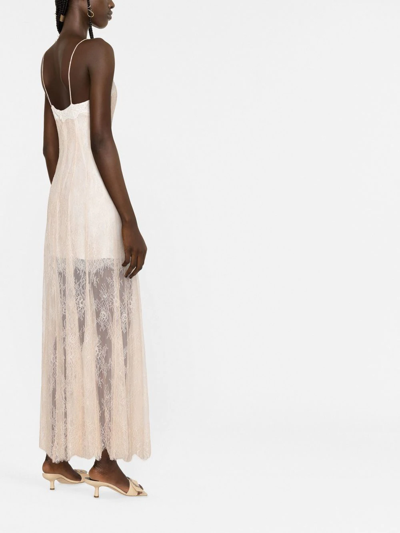 Shop Philosophy Di Lorenzo Serafini Semi-sheer Lace Dress In Rosa