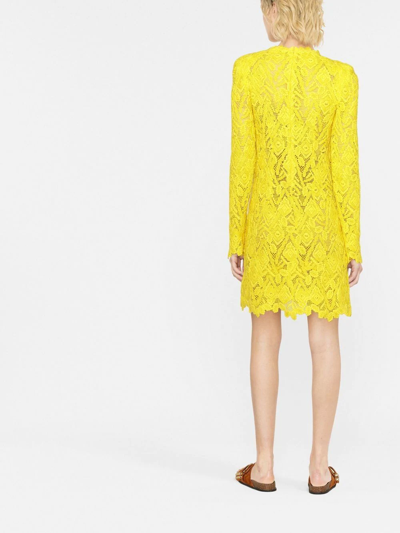 Shop Ermanno Scervino Embroidered-lace Shirt Mini Dress In Yellow