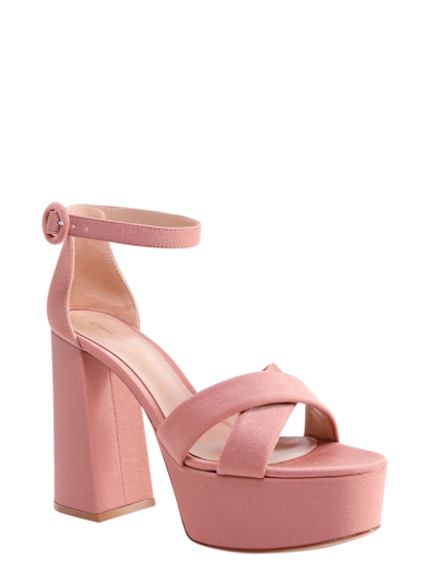 Shop Gianvito Rossi Sheridan Sandals In Pink
