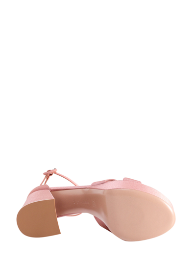 Shop Gianvito Rossi Sheridan Sandals In Pink