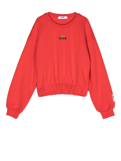 Shop Msgm Logo-print Sweatshirt In Red