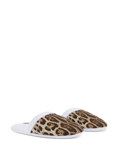 Shop Dolce & Gabbana Leopard-print Terry Slippers In Weiss