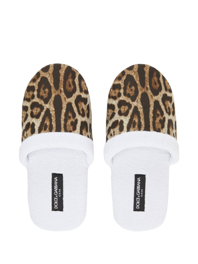 Shop Dolce & Gabbana Leopard-print Terry Slippers In Weiss