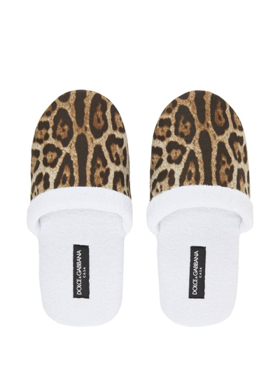 Dolce & Gabbana Leopard-print Terry Slippers In Weiss