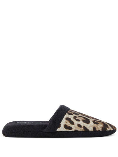 Shop Dolce & Gabbana Leopard-print Terry Slippers In Schwarz