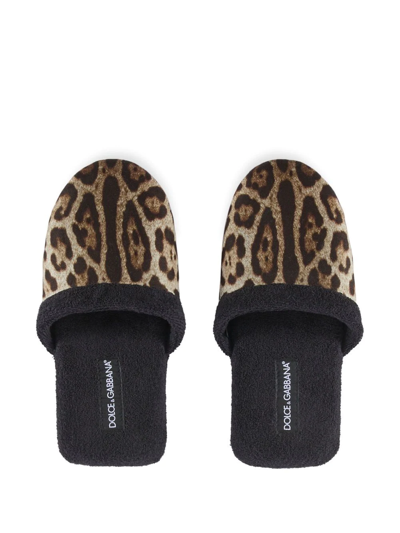 Dolce & Gabbana Leopardo Cotton Terry Slippers In Schwarz