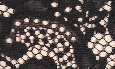 Hunkemoller Shiloh Lace Brazilian Panties In Caviar