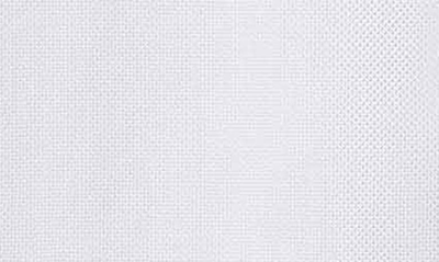 David Donahue Trim Fit Non-iron Dress Shirt In White