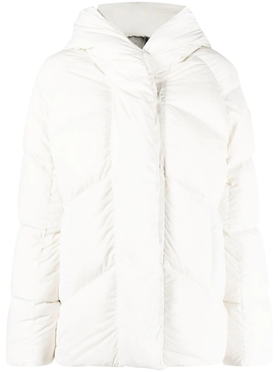 Shop Canada Goose Marlow Hooded Puffer Jacket In White