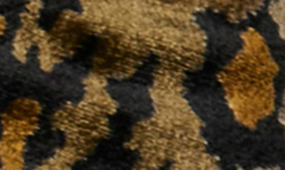 Shop Equipment Layla Velour Leopard Camisole In True Black Multi