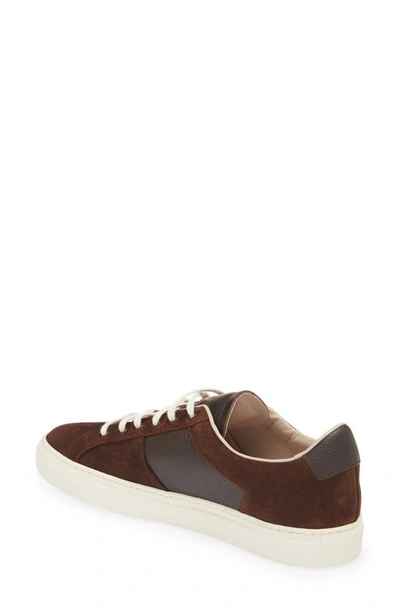 Shop Common Projects Achilles Winter Sneaker In Brown