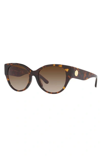 Shop Tory Burch 54mm Cat Eye Sunglasses In Dark Tortoise/ Brown Gradient