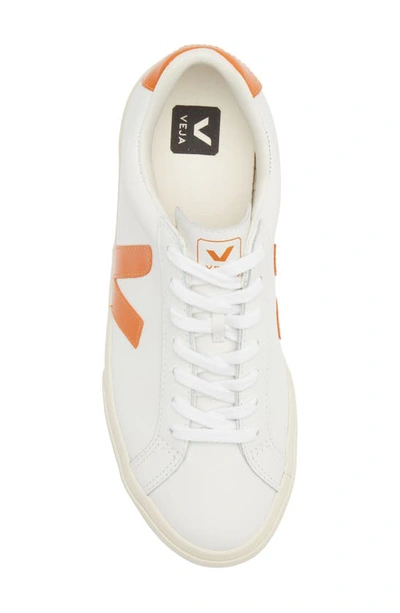 Shop Veja Gender Inclusive Esplar Sneaker In Extra-white Pumpkin