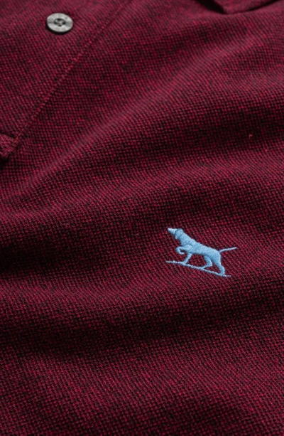 Shop Rodd & Gunn Gunn Piqué Sports Fit Cotton Polo In Garnet