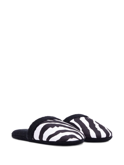 Dolce & Gabbana Zebra-print Terry-cloth Slippers In Schwarz