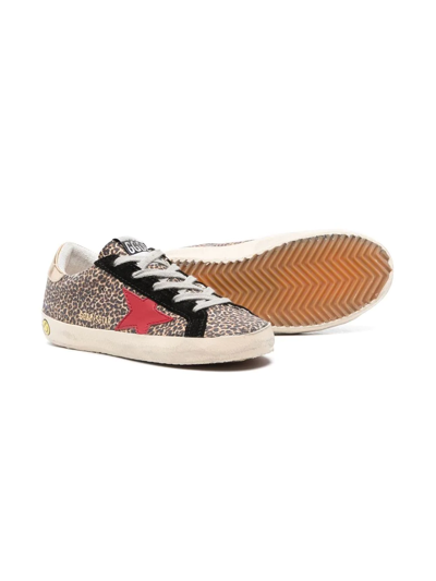 Shop Golden Goose Leopard-print Low-top Sneakers In Brown