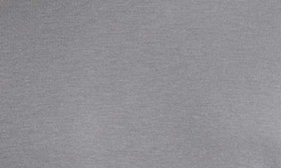 Robert Barakett Georgia Crewneck T-shirt In Warm Ash