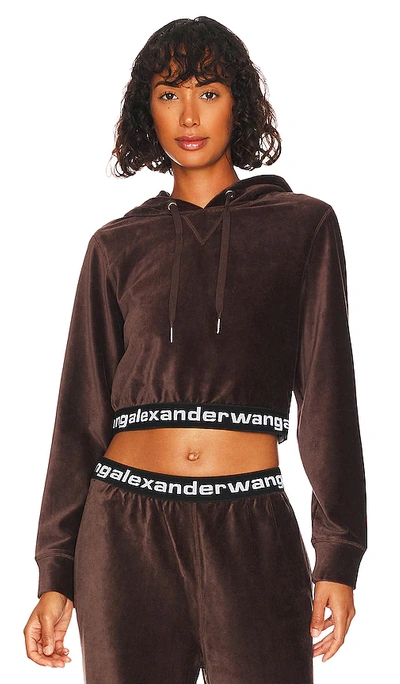 Shop Alexander Wang T Stretch Corduroy Cropped Ls Hoodie In Cola