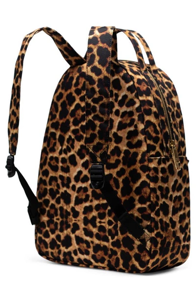 Shop Herschel Supply Co Nova Mid Volume Backpack In Leopard Black