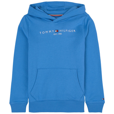 Tommy Hilfiger Kids' Branded Hoodie Mesmerizing Blue | ModeSens