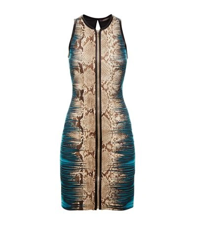 Roberto Cavalli Leather Trim Snake Print Jersey Dress In D1415 Multi
