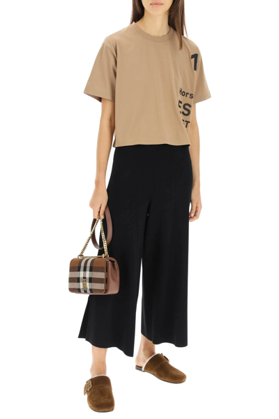 Shop Burberry 'laney' Horseferry Print Cropped T-shirt In Brown