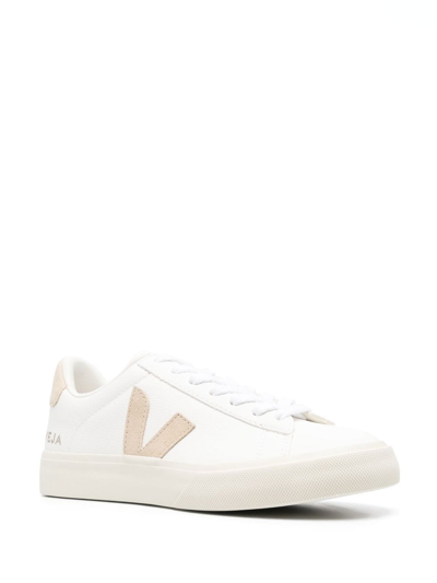 Shop Veja V10 Low-top Sneakers In 白色