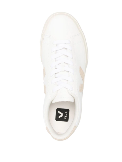 Shop Veja V10 Low-top Sneakers In 白色