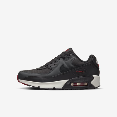 Shop Nike Air Max 90 Ltr Big Kids' Shoes In Grey