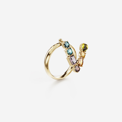 Shop Dolce & Gabbana Rainbow Alphabet V Ring In Yellow Gold With Multicolor Fine Gems