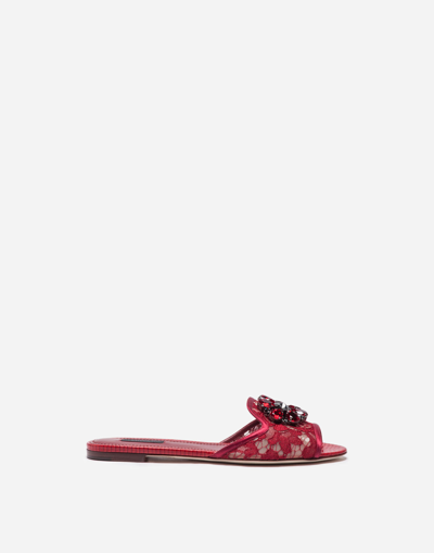 Shop Dolce & Gabbana Slippers In Lace With Crystals In Dark Red