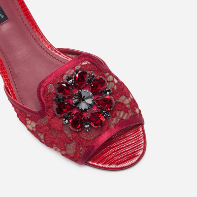 Shop Dolce & Gabbana Slippers In Lace With Crystals In Dark Red