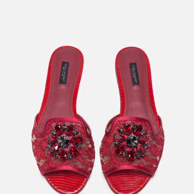 Shop Dolce & Gabbana Slippers In Lace With Crystals In Dark Red