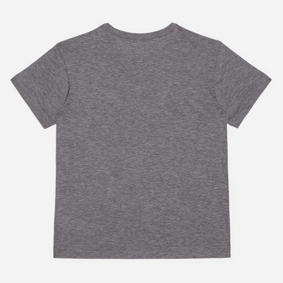 Dolce & Gabbana Short-sleeved Jersey T-shirt With Plate In Grey
