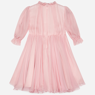 Shop Dolce & Gabbana Chiffon Dress With Embroidered Flowers In Pink