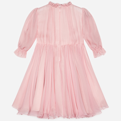 Dolce & Gabbana Chiffon Dress With Embroidered Flowers In Pink