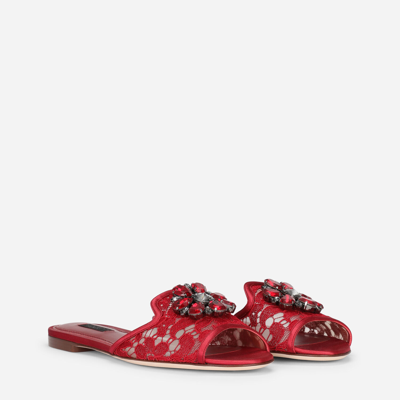 Shop Dolce & Gabbana Lace Slippers With Crystals In Red