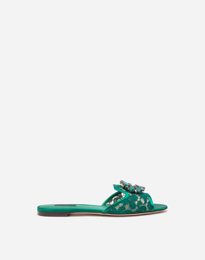 Shop Dolce & Gabbana Lace Slippers With Crystals In Green