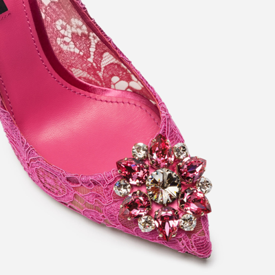 Shop Dolce & Gabbana Pump In Taormina Lace With Crystals In Fuchsia