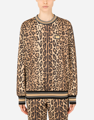 Dolce & Gabbana Leopard-print Jersey Sweatshirt In Multicolor