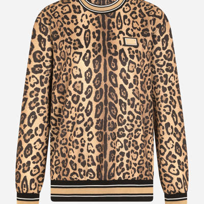 Shop Dolce & Gabbana Leopard-print Jersey Sweatshirt In Multicolor