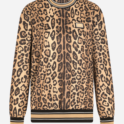 Dolce & Gabbana Leopard-print Jersey Sweatshirt In Multicolor